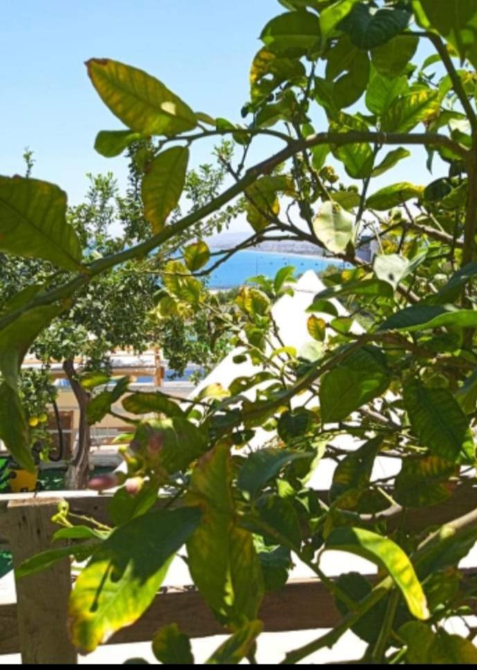 Queens Luxury Glamping Palaiokastro  Экстерьер фото
