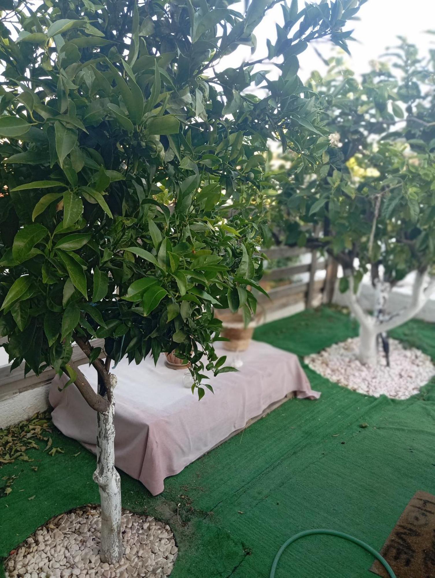 Queens Luxury Glamping Palaiokastro  Экстерьер фото