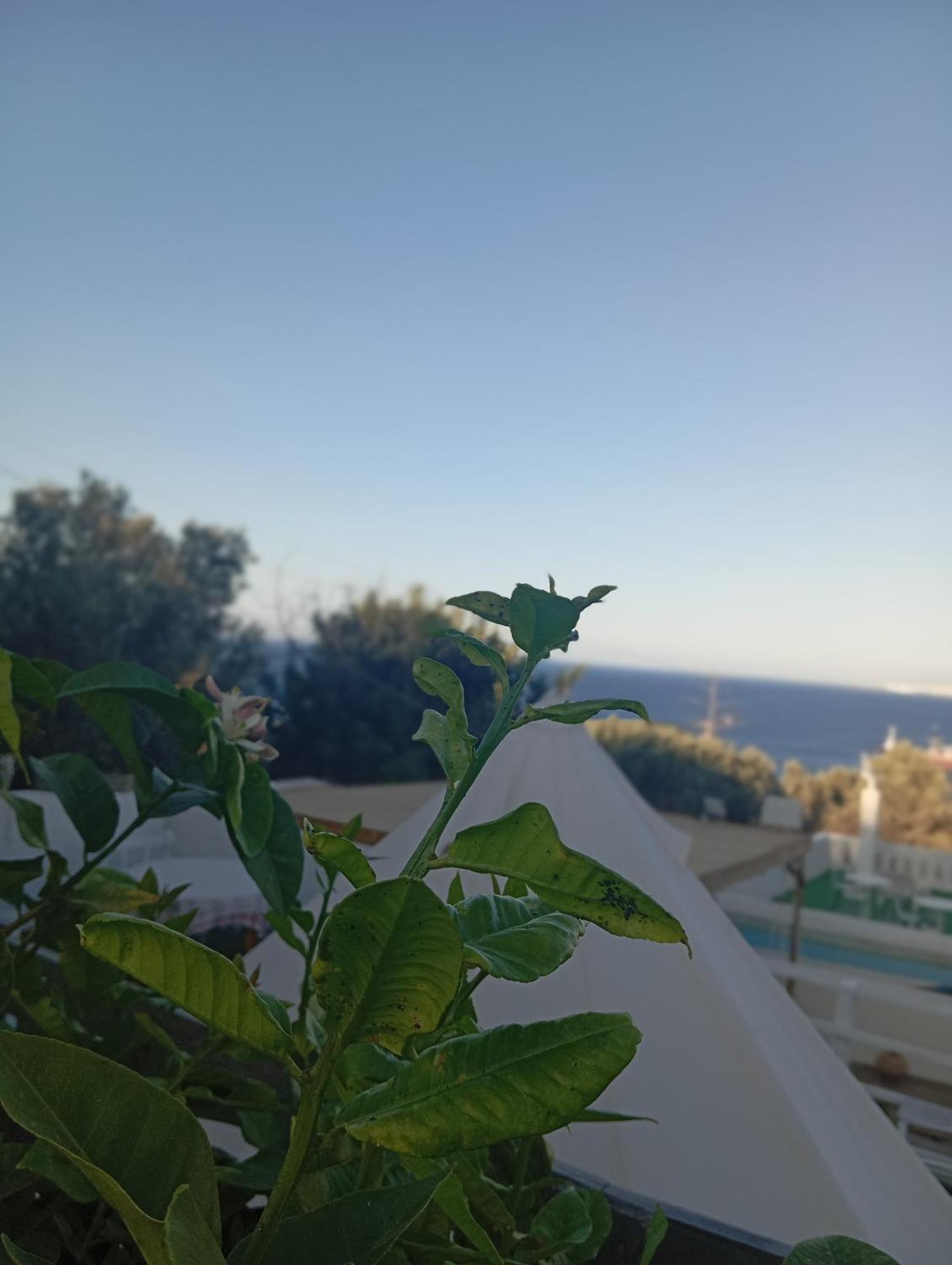 Queens Luxury Glamping Palaiokastro  Экстерьер фото